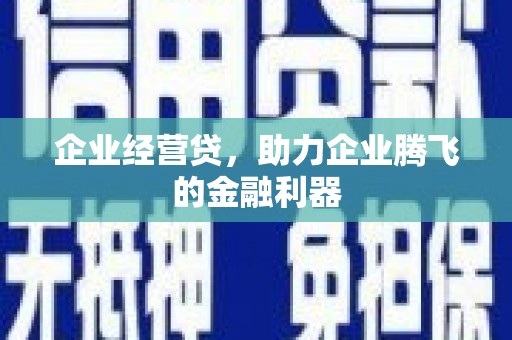 湖西企业经营贷，助力企业腾飞的金融利器