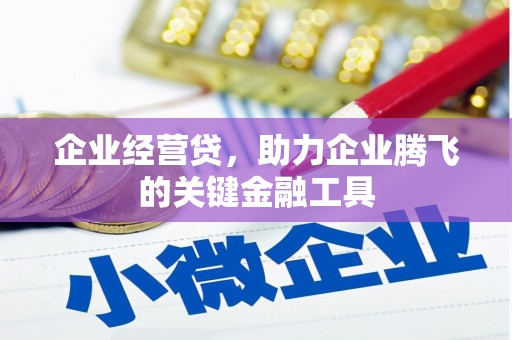 湖西企业经营贷，助力企业腾飞的关键金融工具