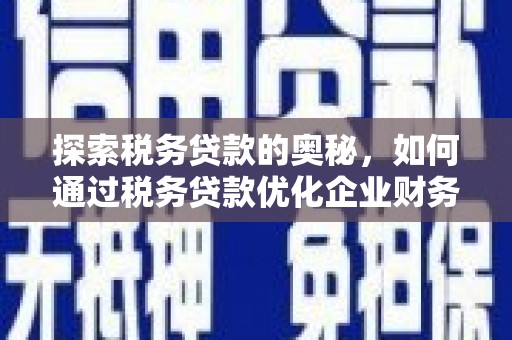 湖西探索税务贷款的奥秘，如何通过税务贷款优化企业财务