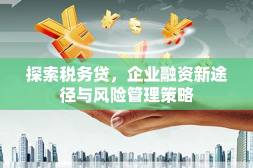 湖西探索税务贷，企业融资新途径与风险管理策略
