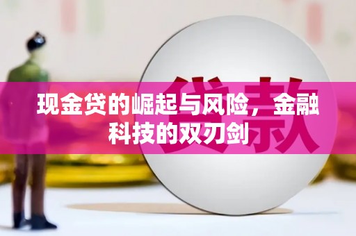 湖西现金贷的崛起与风险，金融科技的双刃剑