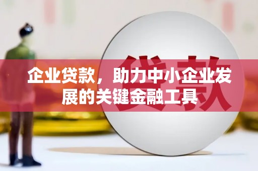 湖西企业贷款，助力中小企业发展的关键金融工具