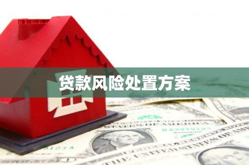 湖西贷款风险处置方案