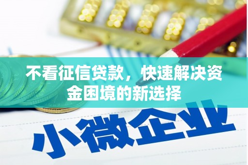湖西不看征信贷款，快速解决资金困境的新选择