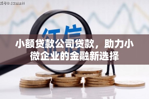 湖西小额贷款公司贷款，助力小微企业的金融新选择