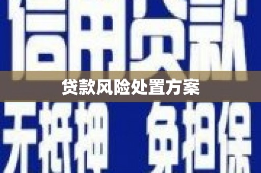 湖西贷款风险处置方案