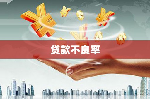 湖西贷款不良率