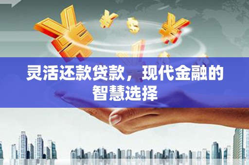 湖西灵活还款贷款，现代金融的智慧选择