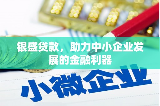 湖西银盛贷款，助力中小企业发展的金融利器