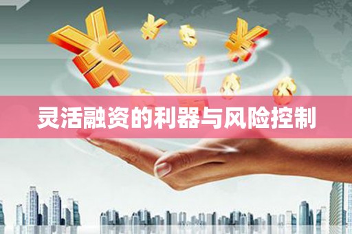 湖西灵活融资的利器与风险控制