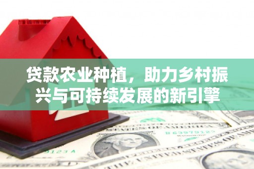 湖西贷款农业种植，助力乡村振兴与可持续发展的新引擎
