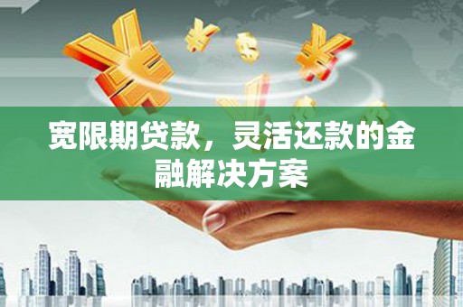 湖西宽限期贷款，灵活还款的金融解决方案