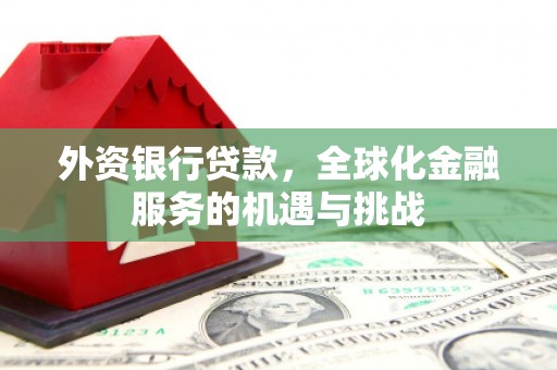 湖西外资银行贷款，全球化金融服务的机遇与挑战
