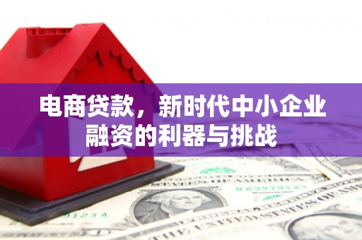 湖西电商贷款，新时代中小企业融资的利器与挑战