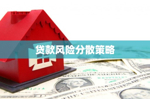 湖西贷款风险分散策略