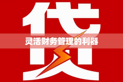 湖西灵活财务管理的利器