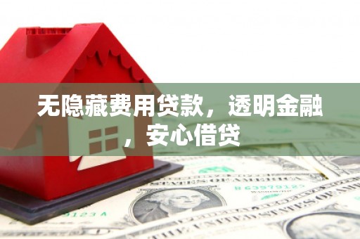 湖西无隐藏费用贷款，透明金融，安心借贷