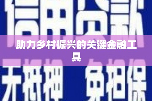湖西助力乡村振兴的关键金融工具