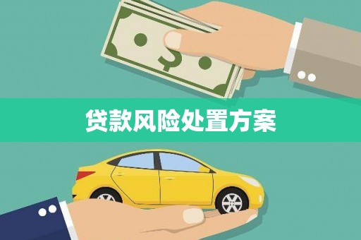 湖西贷款风险处置方案