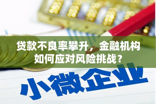 湖西贷款不良率攀升，金融机构如何应对风险挑战？