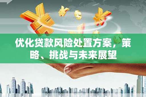 湖西优化贷款风险处置方案，策略、挑战与未来展望