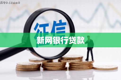 湖西新网银行贷款