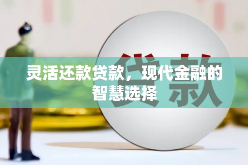 湖西灵活还款贷款，现代金融的智慧选择