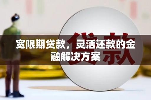 湖西宽限期贷款，灵活还款的金融解决方案