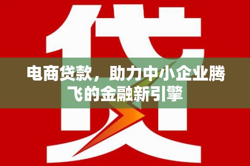 湖西电商贷款，助力中小企业腾飞的金融新引擎