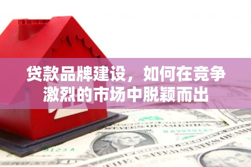 湖西贷款品牌建设，如何在竞争激烈的市场中脱颖而出