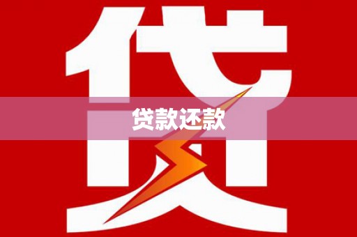湖西贷款还款