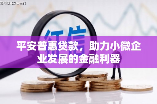 湖西平安普惠贷款，助力小微企业发展的金融利器