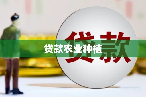 湖西贷款农业种植
