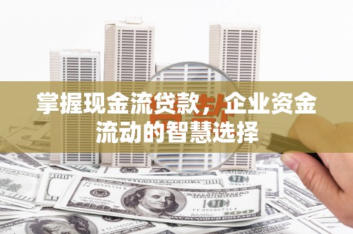 湖西掌握现金流贷款，企业资金流动的智慧选择