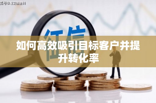湖西如何高效吸引目标客户并提升转化率