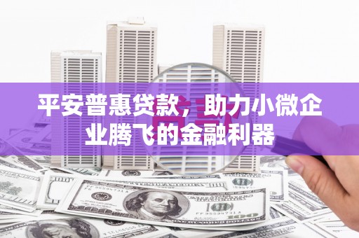 湖西平安普惠贷款，助力小微企业腾飞的金融利器