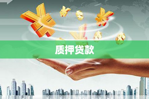 湖西质押贷款