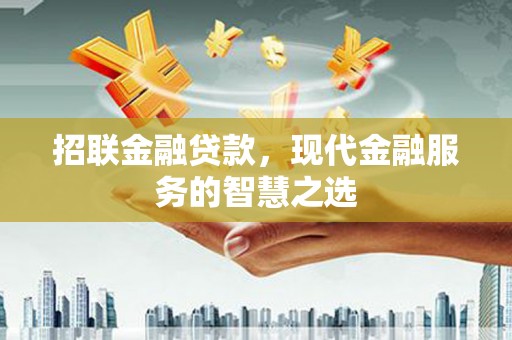 湖西招联金融贷款，现代金融服务的智慧之选