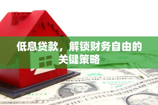 湖西低息贷款，解锁财务自由的关键策略