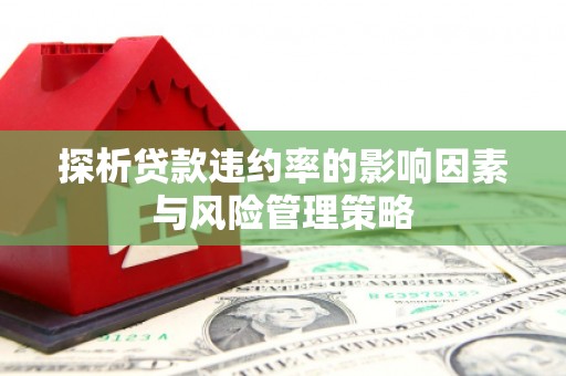 湖西探析贷款违约率的影响因素与风险管理策略