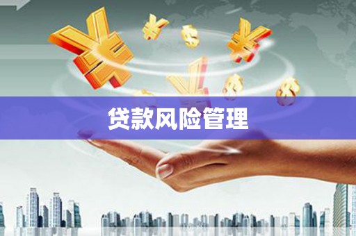 湖西贷款风险管理
