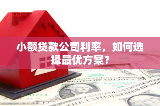湖西小额贷款公司利率，如何选择最优方案？