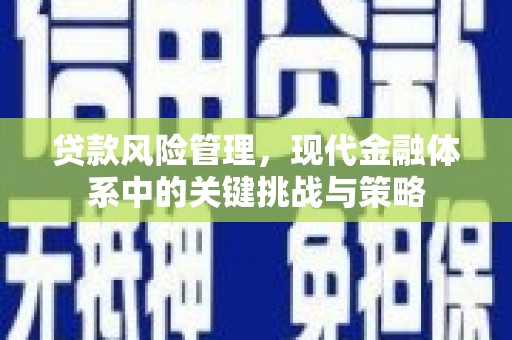 湖西贷款风险管理，现代金融体系中的关键挑战与策略