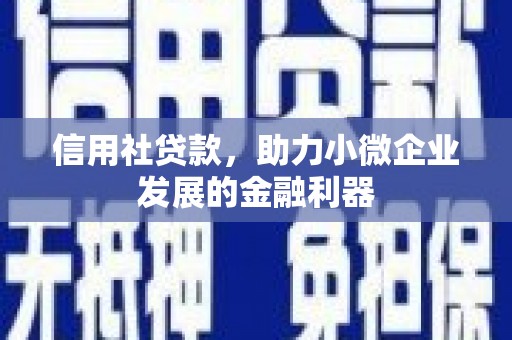 湖西信用社贷款，助力小微企业发展的金融利器