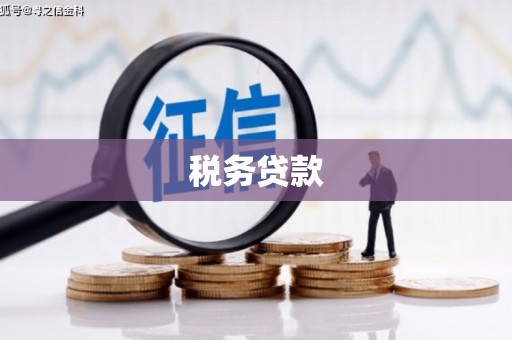 湖西税务贷款