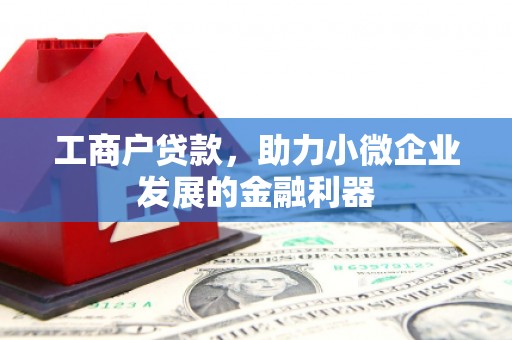 湖西工商户贷款，助力小微企业发展的金融利器