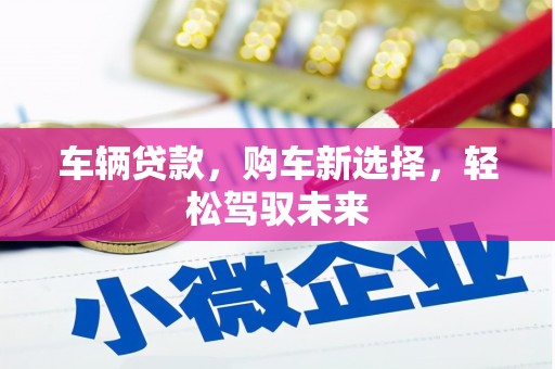 湖西车辆贷款，购车新选择，轻松驾驭未来