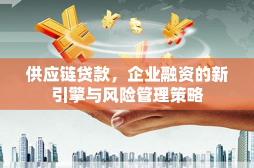 湖西供应链贷款，企业融资的新引擎与风险管理策略