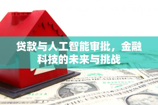 湖西贷款与人工智能审批，金融科技的未来与挑战