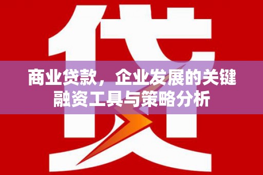 湖西商业贷款，企业发展的关键融资工具与策略分析